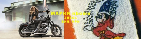 сатива Иннополис