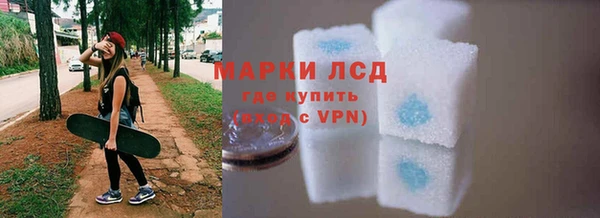 сатива Иннополис