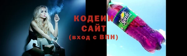сатива Иннополис