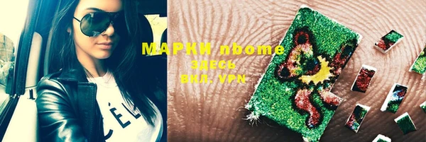 сатива Иннополис