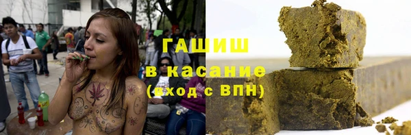 сатива Иннополис